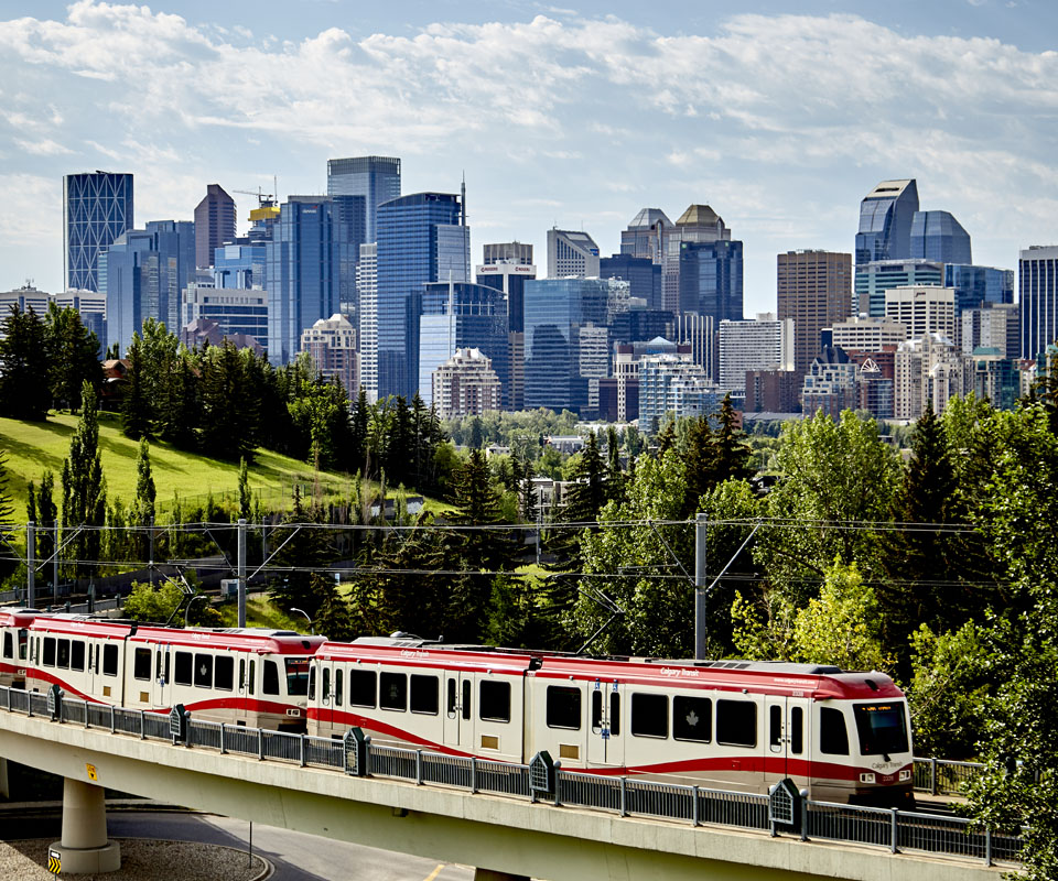 A Calgary LRT travels along a elevated track with a skyline of skyscrapers in Calgary in the background.