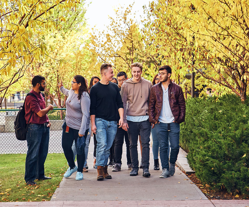 A group of diverse young adults walking together on a tree-lined path with vibrant autumn foliage.
