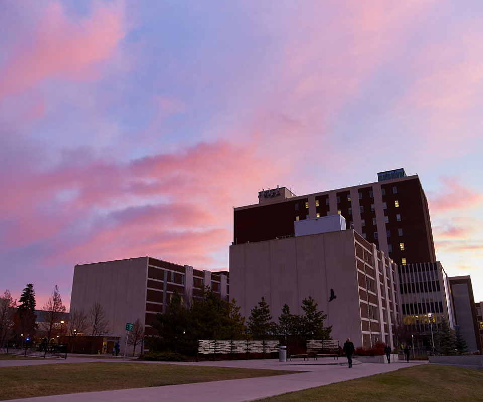 Purple sunrise behind the Senator Burns building on SAIT campus