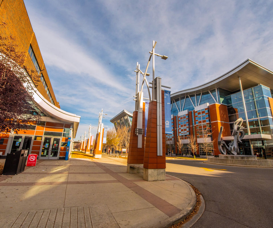 Exterior view of the west entrance to the Aldred Centre with striking architecture and a pathway lined by contemporary sculptures.