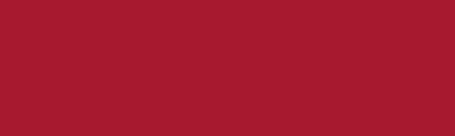 SAIT dark red colour palette swatch