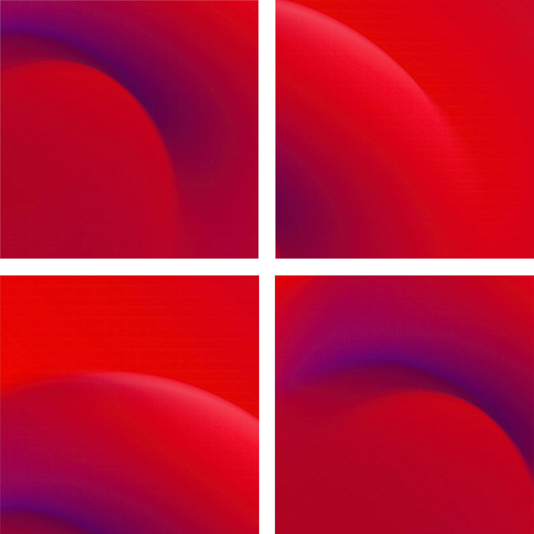 Red current magnified at 5x zoom