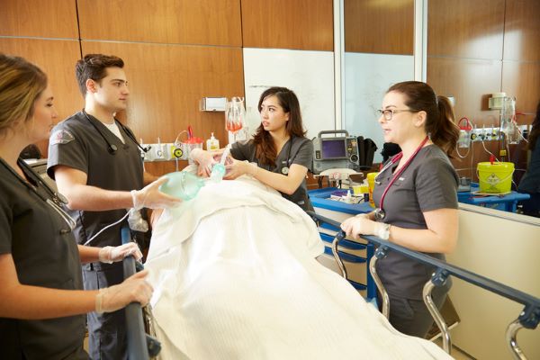Medical students working together