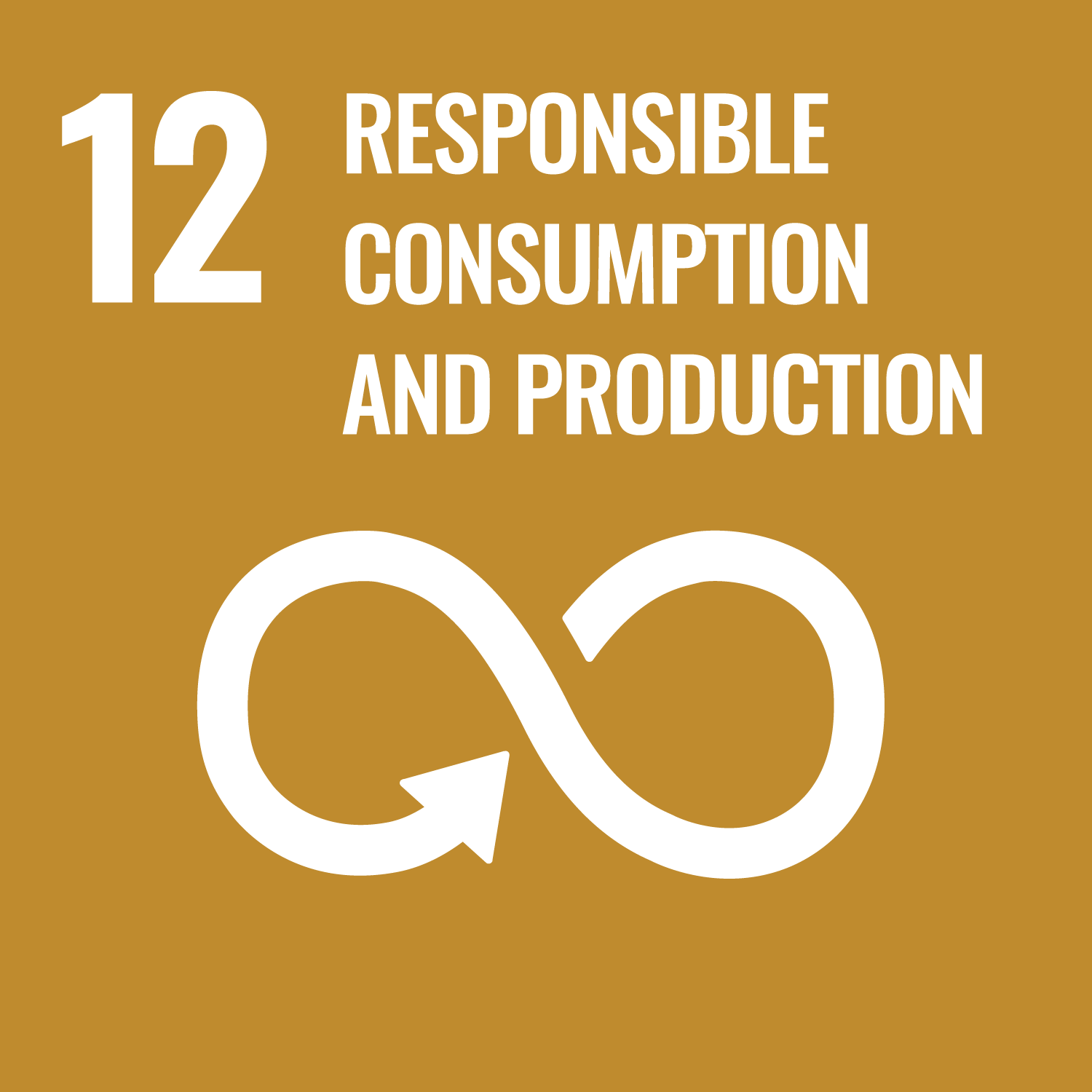 unsdg web icon 12 for Responsible Consumption and Production