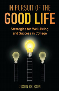 Book cover for in pursuit of the good life, with three ladders leading upwards towards lightbulbs, with the middle one brighter than the others, on the front.