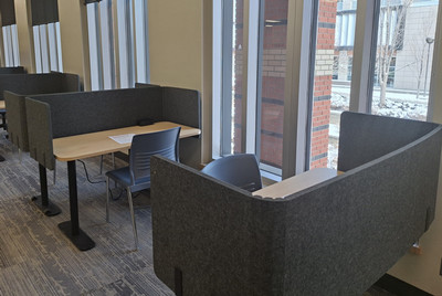 photo of individual study carrels in the library.