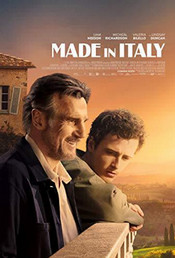 movie poster for made in italy.