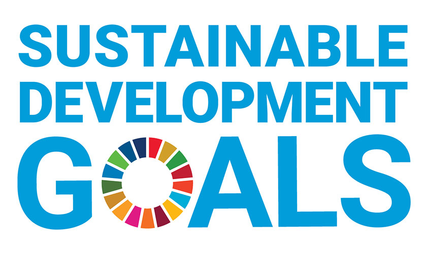 United Nations Sustainable Development Goals icon