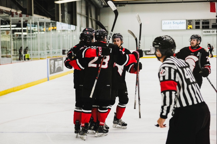 Men's hockey players on the ice