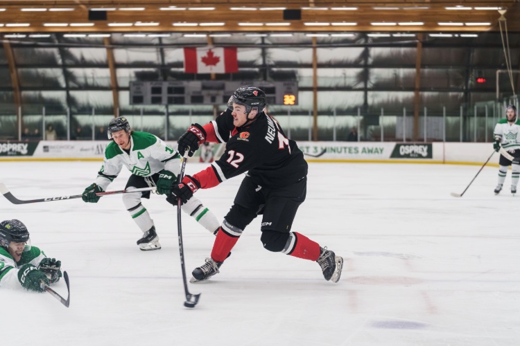 Men's hockey players on the ice