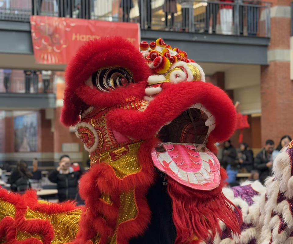 A vibrant dragon dance costume in red and gold, showcasing intricate detailing and expressive features used during celebrations.