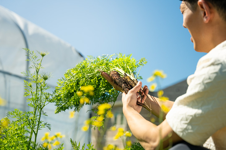 Chef Jun Young Park admires carrots from his garden.