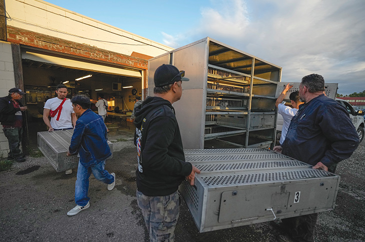 men helping to load bird enclosures into a trailer