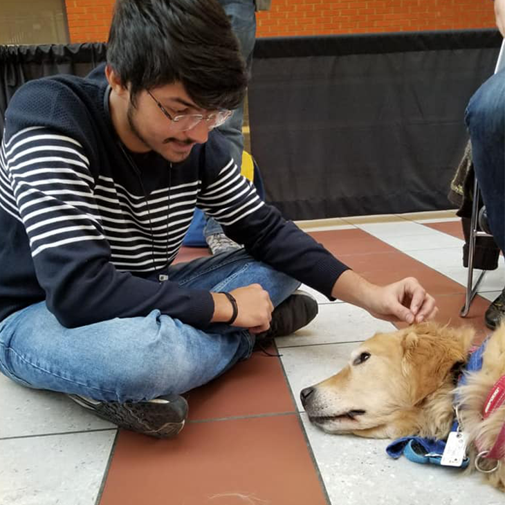 arth playing with puppies