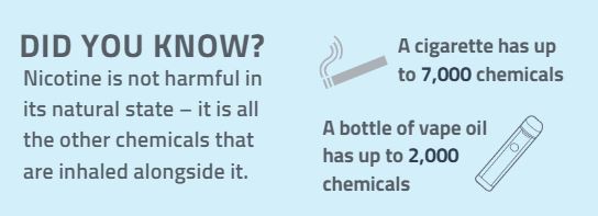 Did you know? Nicotine is not harmful in its natural state – it is all the other chemicals that are inhaled alongside it.