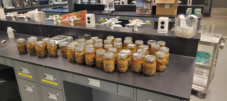 Jars containing the materials for creating the biofuel sit on a lab counter