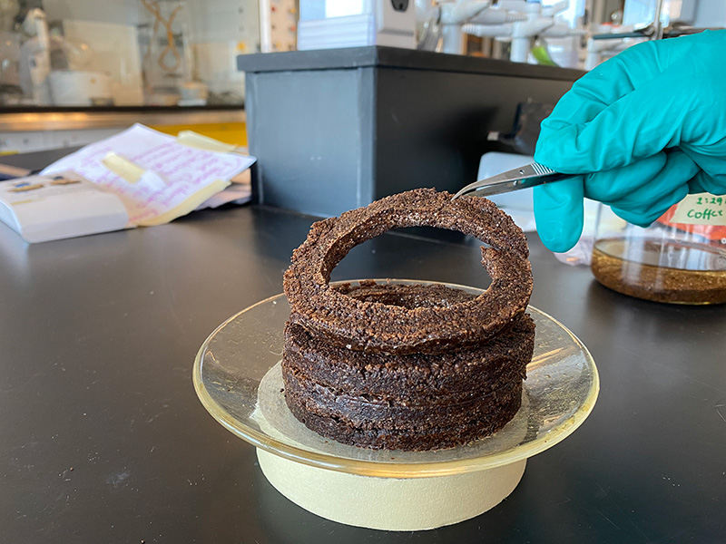 A hand wearing a glove uses tweezers to hold up a coffee sponge filter in the shape of a ring