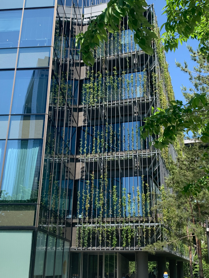 Green plants growing across the exterior of a modern glass building.