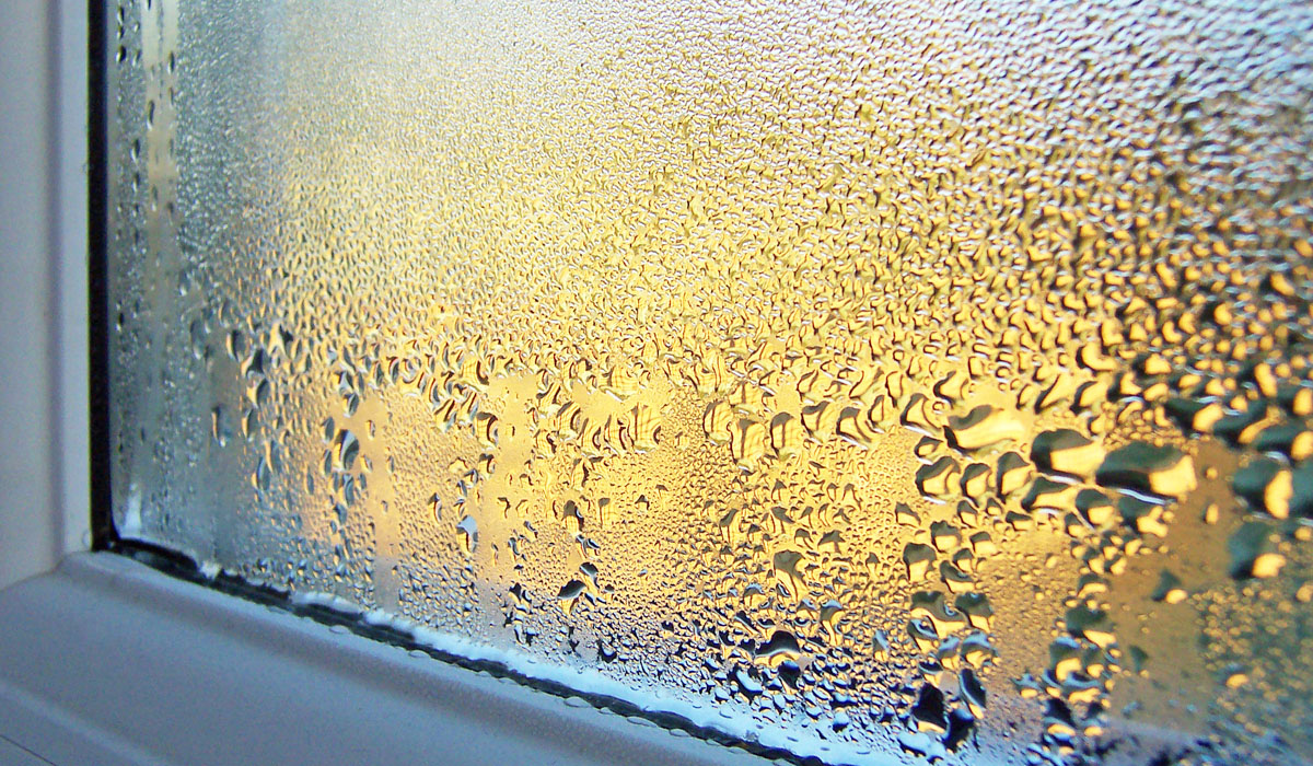 Close-up of condensation on a windowpane with a soft golden light in the background.