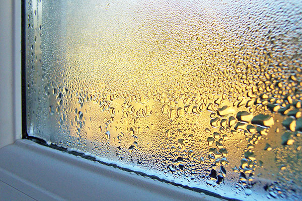 A close-up of condensation on a window.