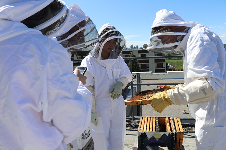 he SAIT Beekeeping Club has helped more than 60,000 bees establish three hives on the roof of the John Ware Building.