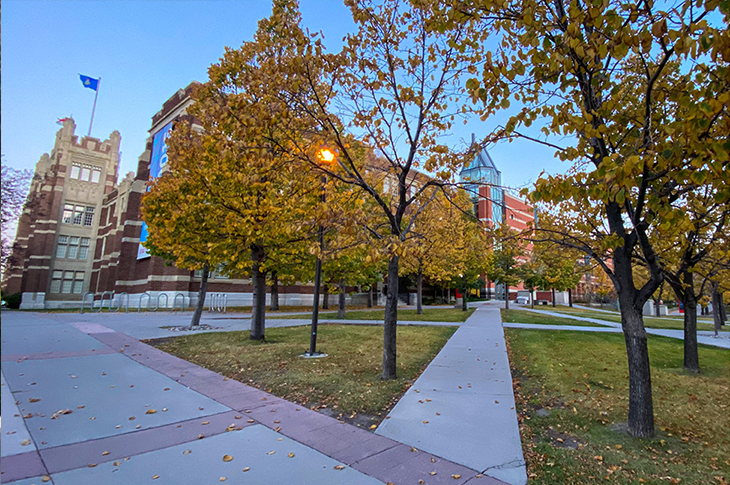 sait campus during the fall