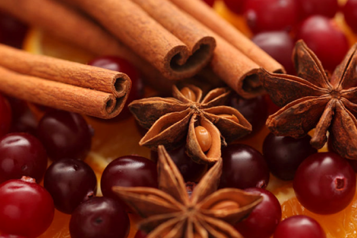 Close up of cranberries, star anise and cinnamon sticks over oranges