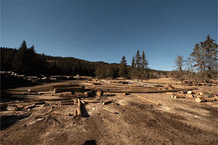 An area cleared of trees