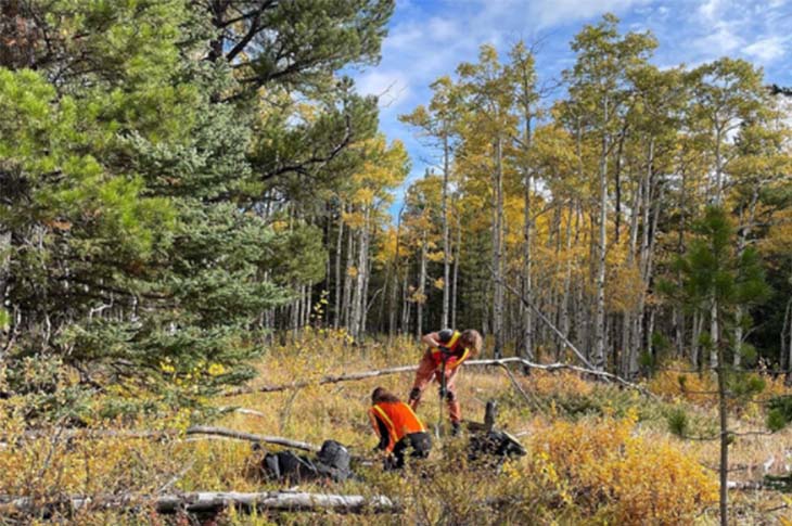 Two environmental technology students work in a fall setting 