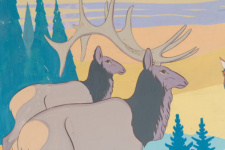 close up of deer on murall