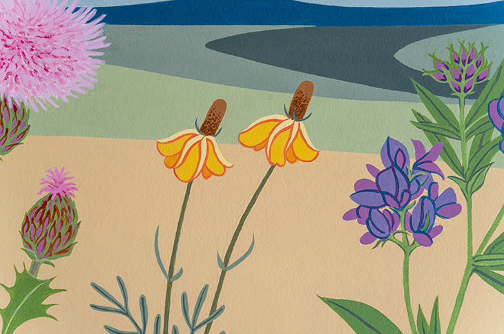 painted prairie Coneflower