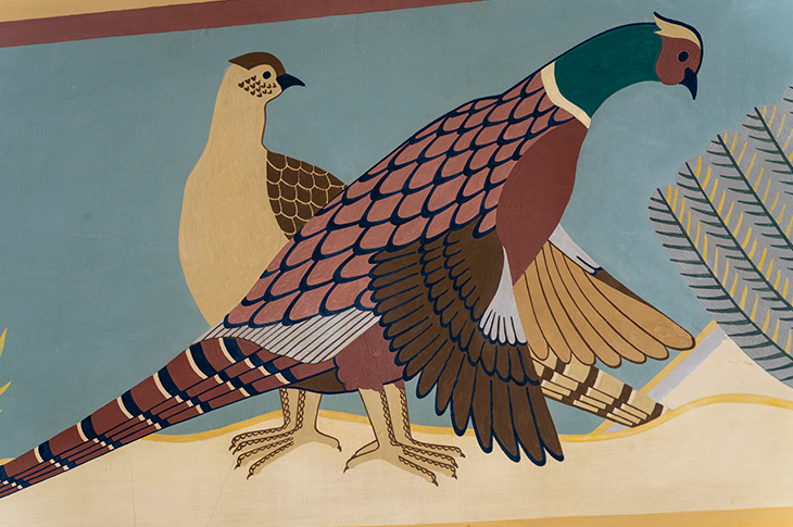 close up of pheasants on mural