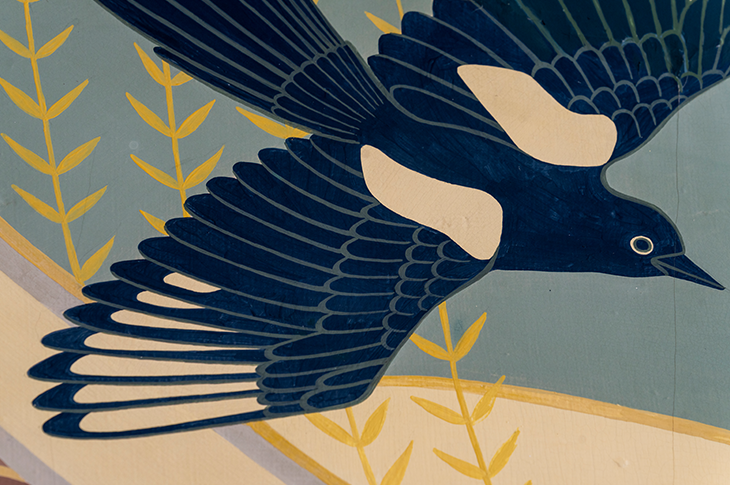 close up of magpie on mural