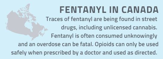 Fentanyl in Canada. Traces of fentanyl are being found in street drugs, including unlicensed cannabis. Fentanyl is often consumed unknowingly and an overdose can be fatal. Opioids can only be used safely when prescribed by a doctor and used as directed.