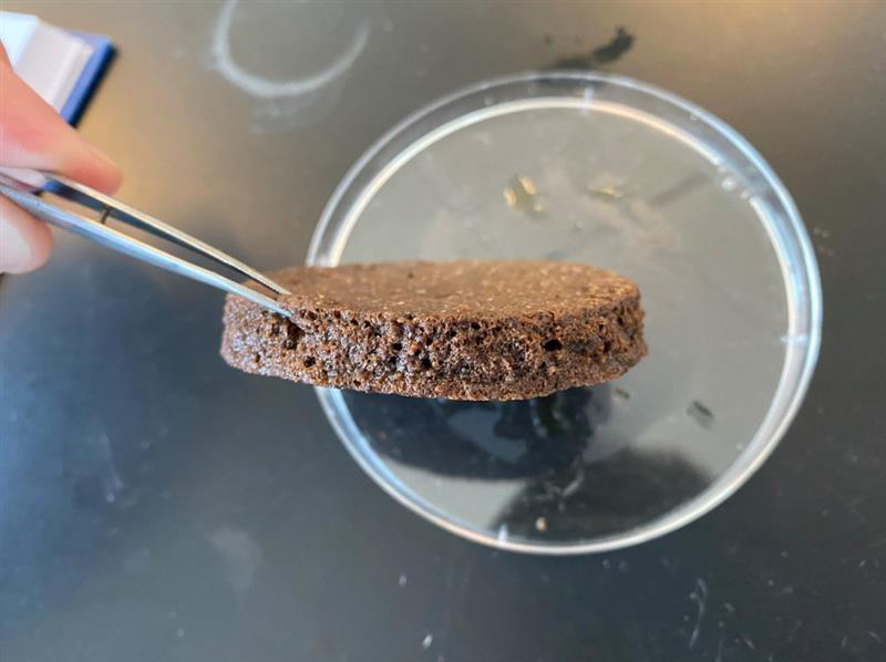 Tweezers hold up a coffee sponge filter above a petri dish